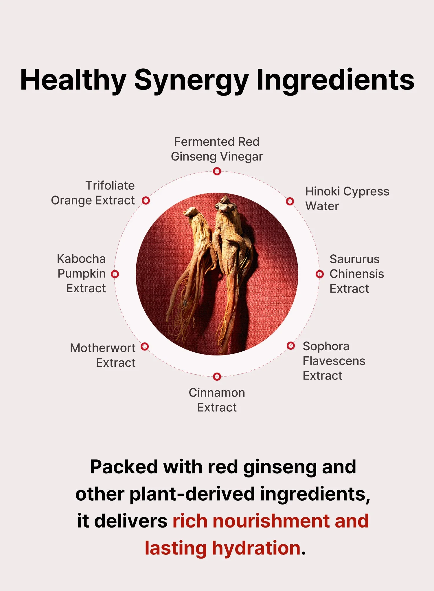 Bonyongo Red Ginseng Vinegar Cream (55ml) - Image 6