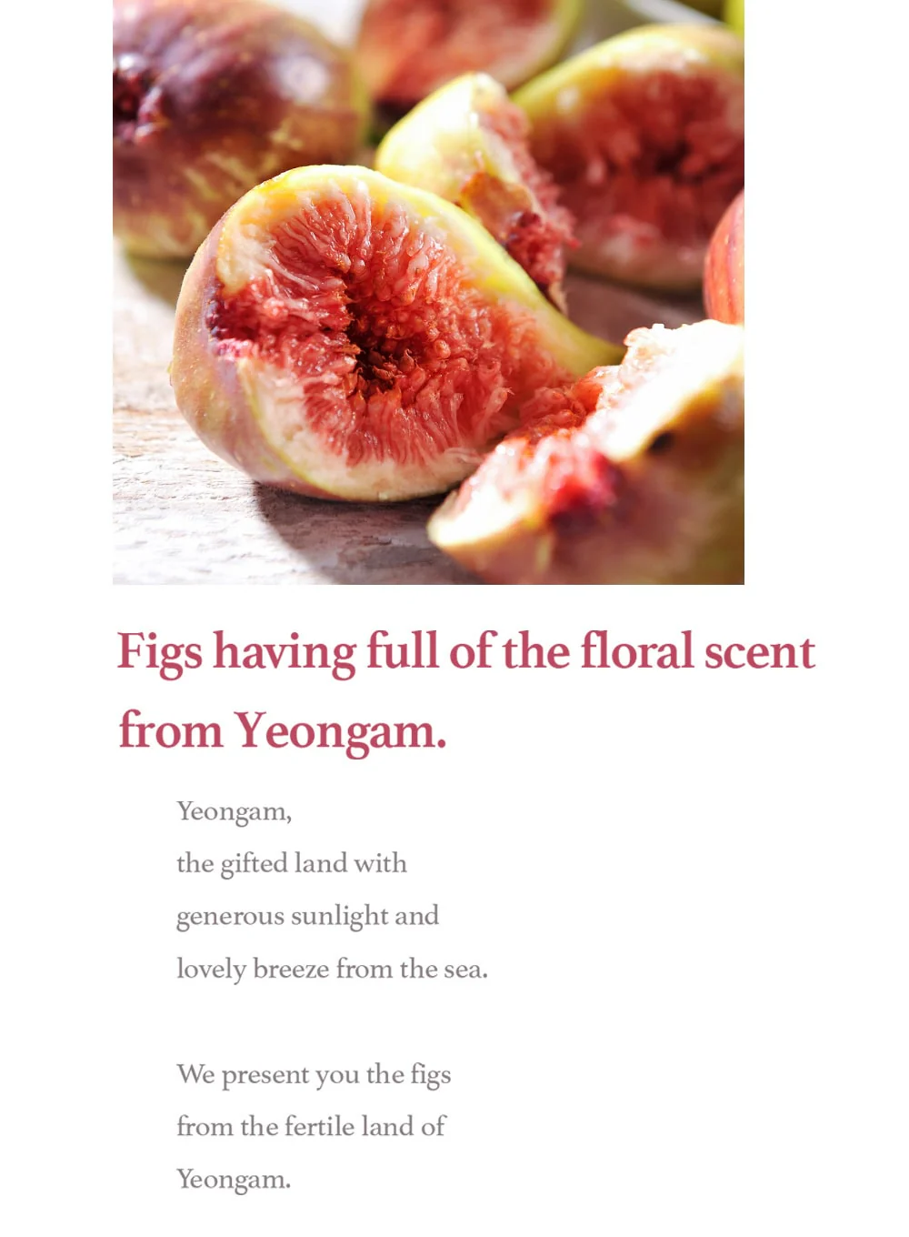 Fig Cleansing Balm (100ml) - Image 10