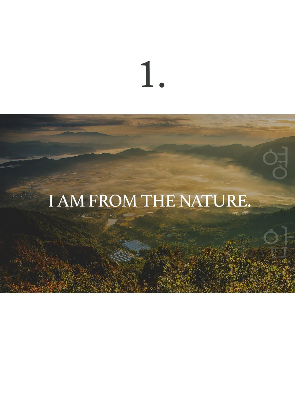 Fig Cleansing Balm (100ml) - Image 9