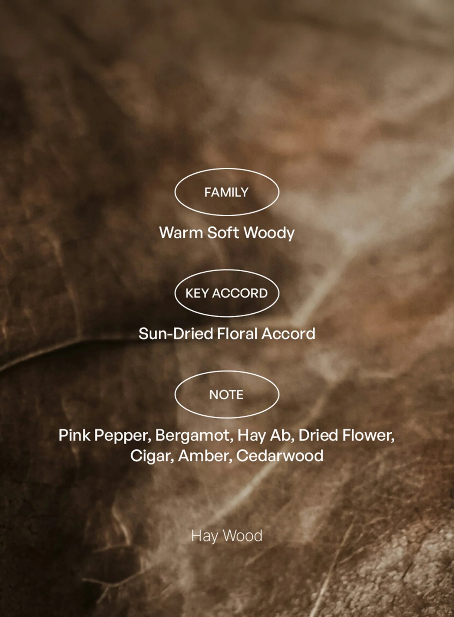 Hay Wood ; Andong EDT (10ml) - Image 4
