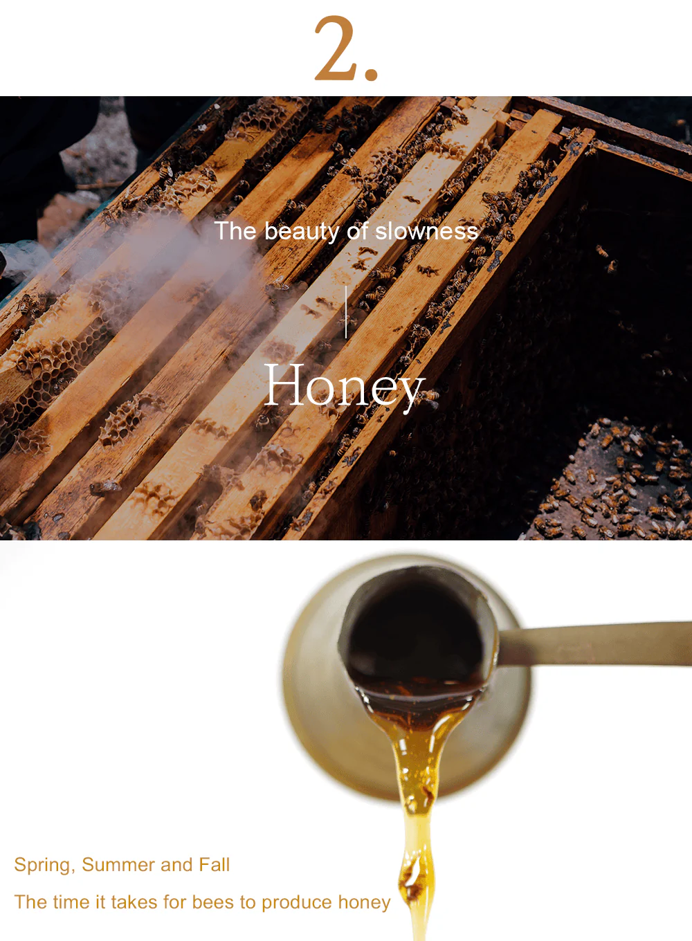 Honey Serum (30ml) - Image 11