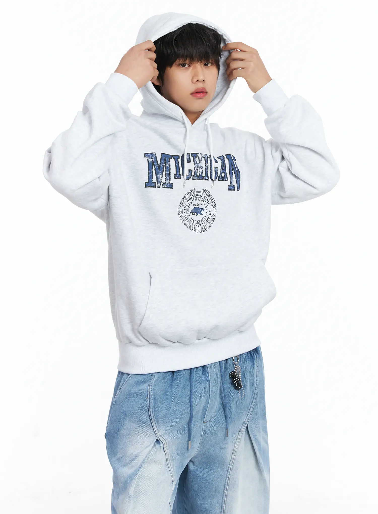 Men's Michigan Graphic Fleece Hoodie IJ512
