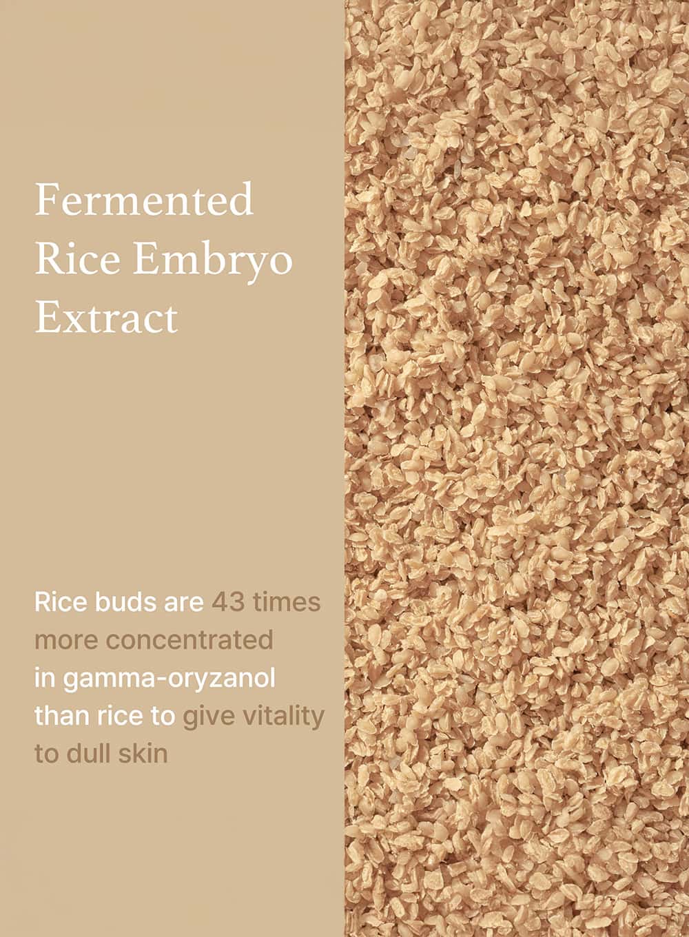 Rice Serum (30ml) - Image 5