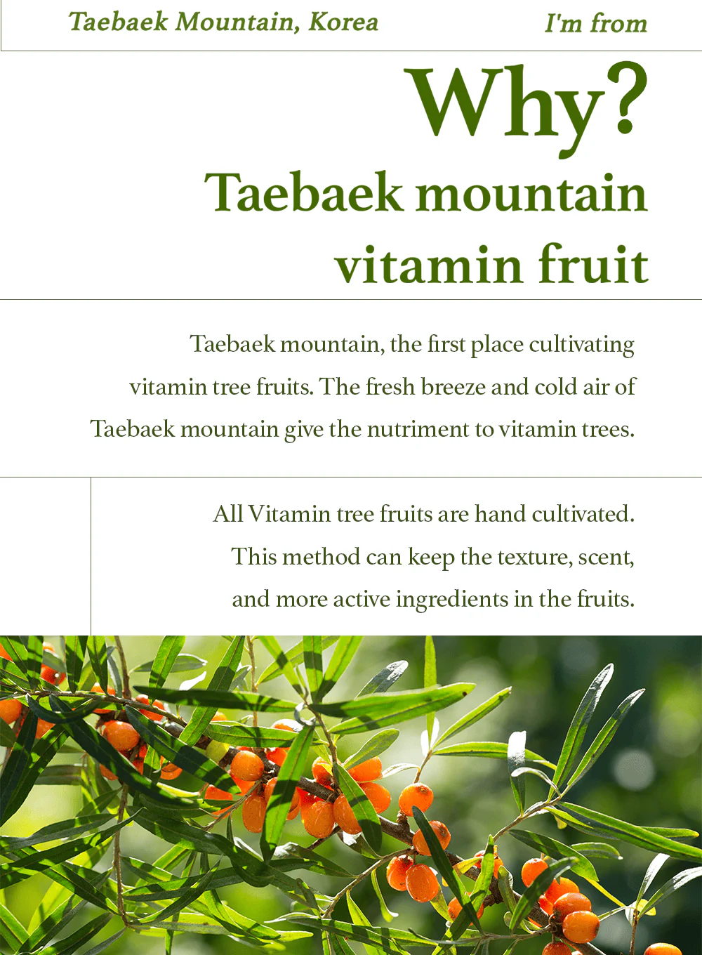 Vitamin Fruit Serum (30ml) - Image 8